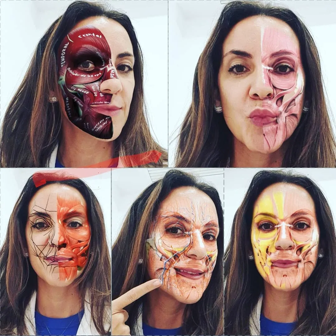 Capas anatómicas faciales